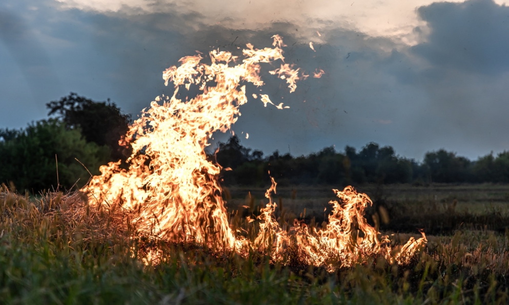 Pożar na wsi w pobliżu Krakowa: Straż pożarna interweniuje